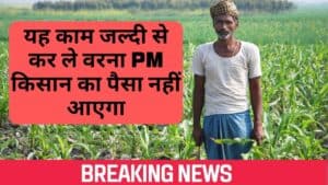 pm kisan yojana:यह काम जल्दी से कर ले वरना pm किसान का पैसा नहीं आएगा,, जानिए कैसे