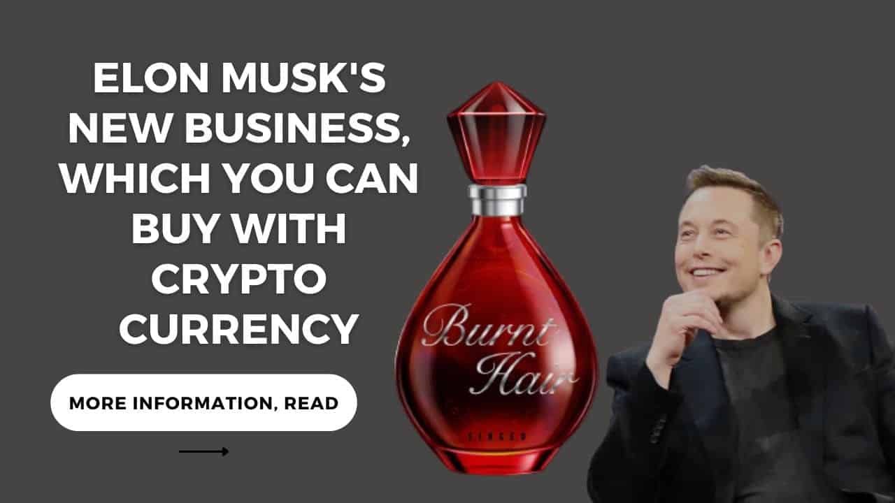 elon musk what crypto to buy